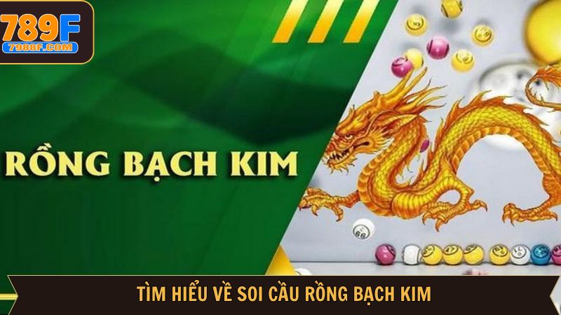 Tổng quan cách thức soi lô đề uy tín hiệu quả