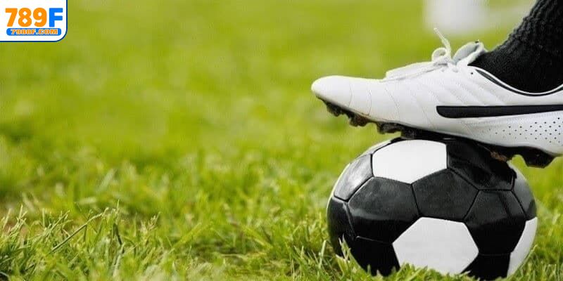 Tổng hợp các loại kèo cược đồng banh phổ biến nhất